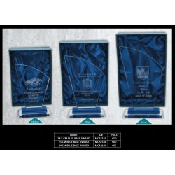 24 CM Blue Base Award