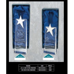 22.5 CM Star Award