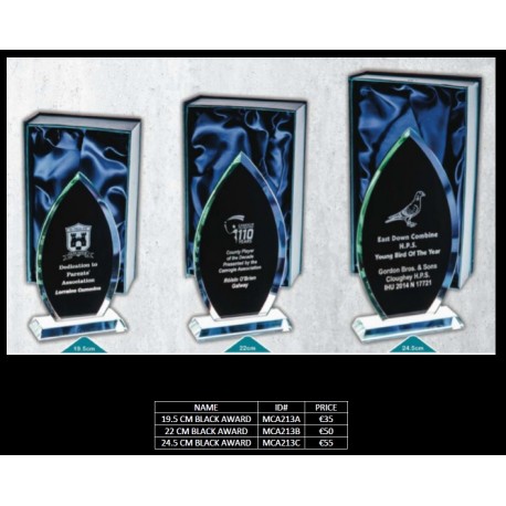 24 CM Black Award