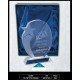 19 CM Star Award