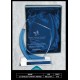 21 CM Blue and White Award
