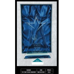 24 CM Star Award